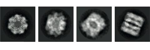 Jan 2024: Protein Snapshot