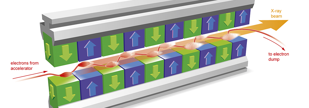 Image of an undulator